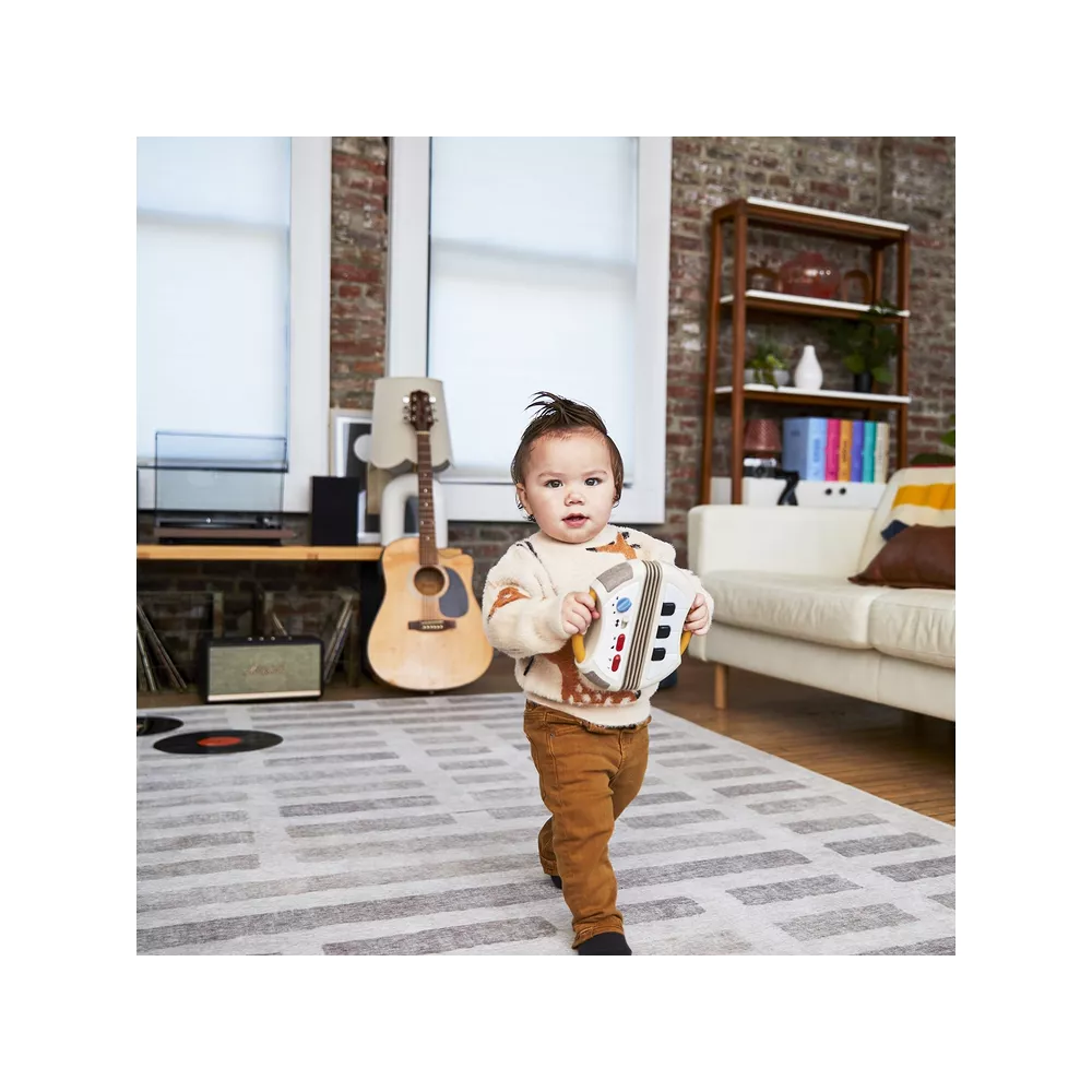 TINY LOVE Accordion electronic rock &  D roll