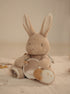 LITTLE DUTCH Baby Bunny activiteiten- knuffel
