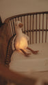 LITTLE DUTCH Knuffelgans - licht/geluid