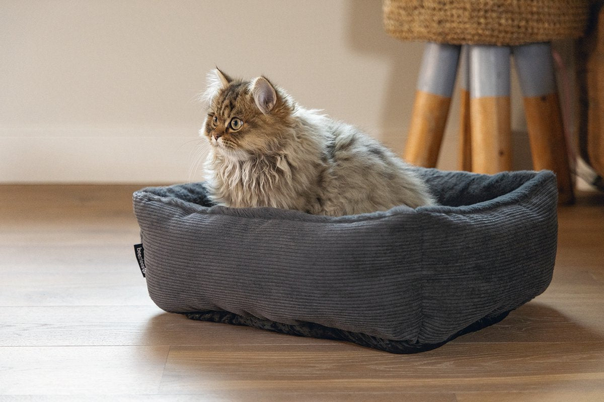 BEEZTEES Kattenmand MOZA 48x37x15cm - antraciet