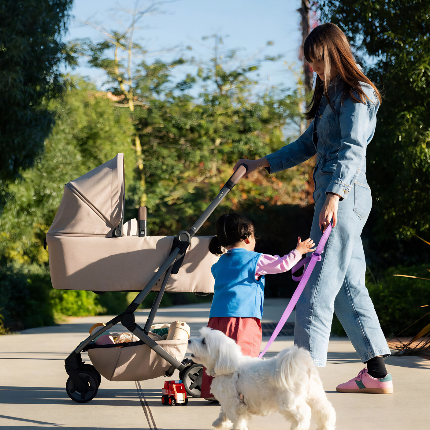 Wandelwagens en buggy's