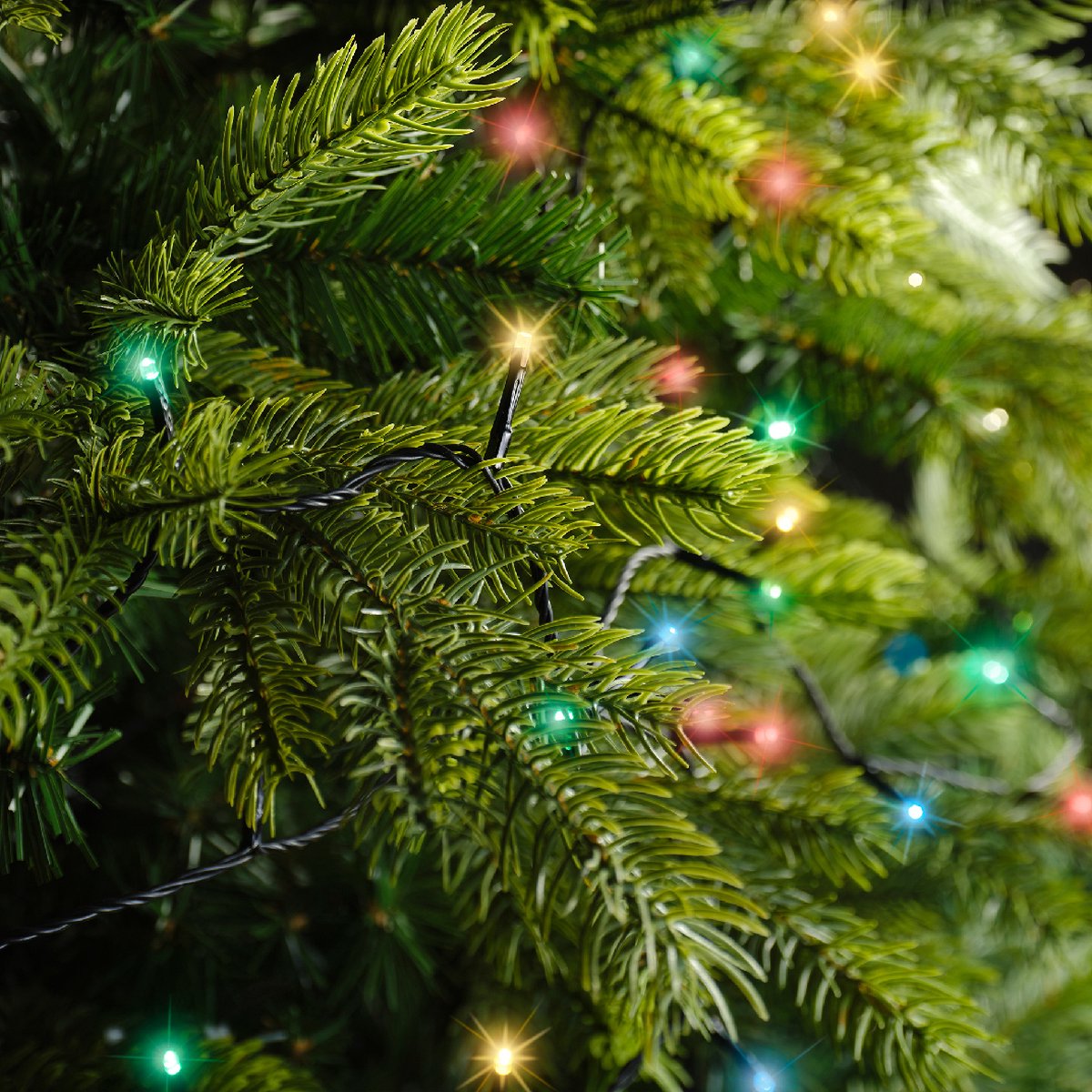 Lumineo LED basic twinkel 1800cm 240L - zwart/multi - kerstverlichting