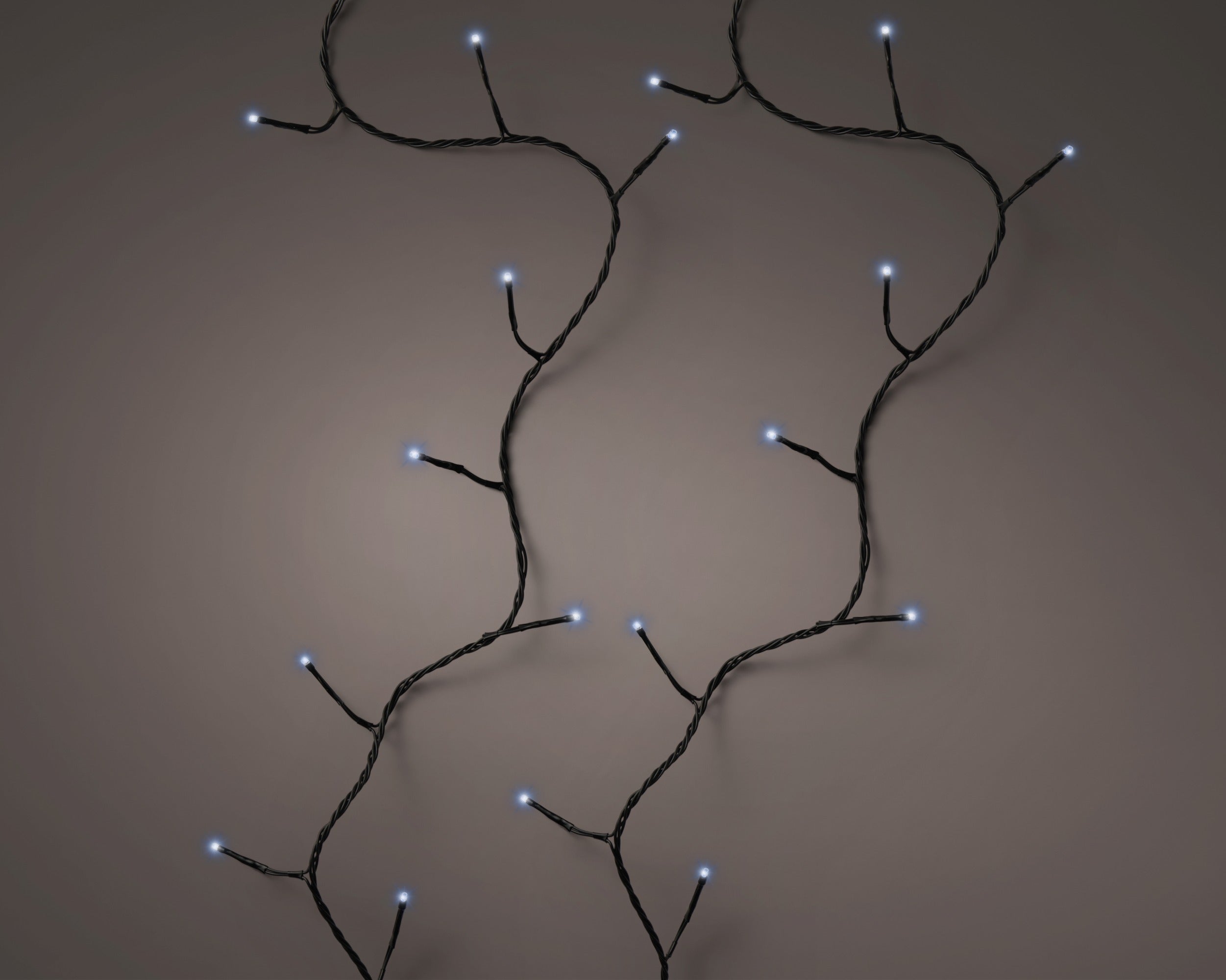 Lumineo LED basic twinkel 1800cm 240L - zwart/blauw - kerstverlichting