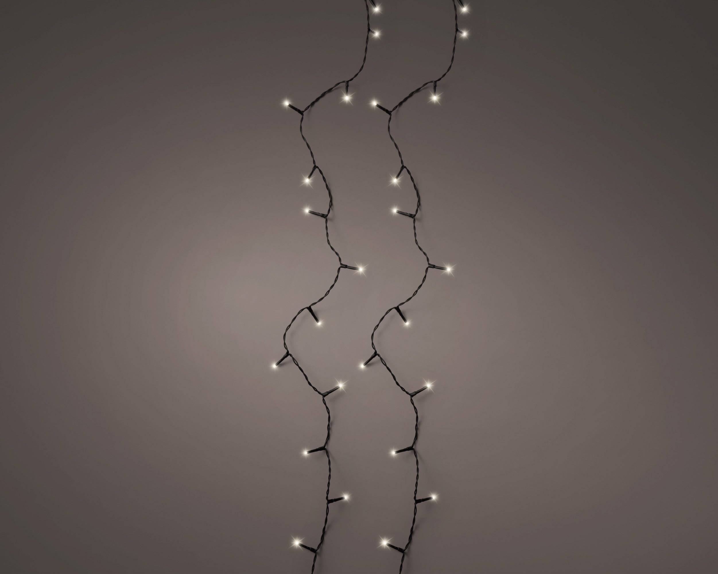 Lumineo LED basic twinkel 1800cm 240L - zwart/warm wit  - kerstverlichting