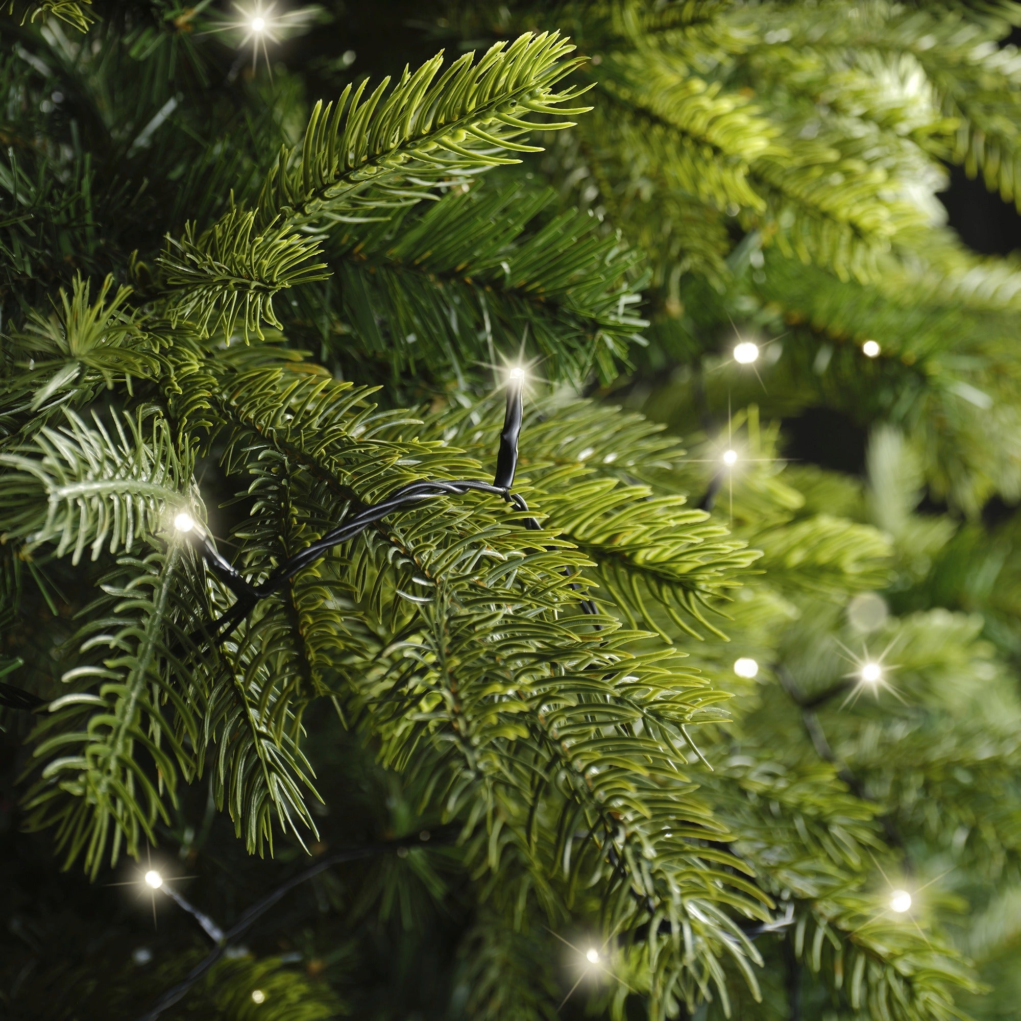 Lumineo LED basic twinkel 1800cm 240L - zwart/warm wit  - kerstverlichting