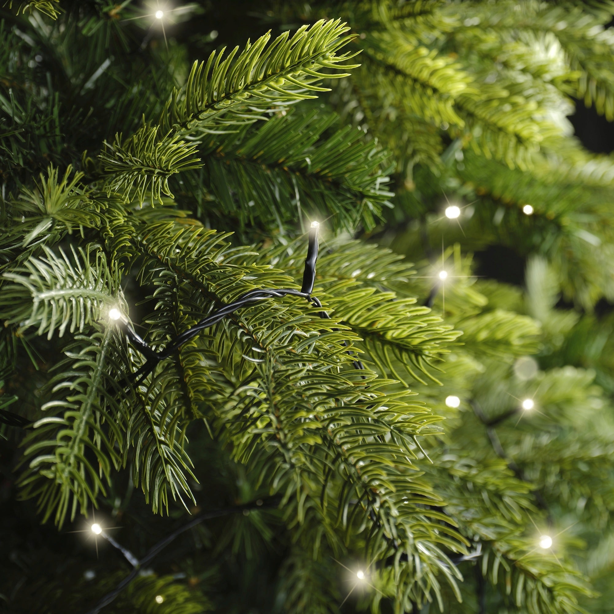 Lumineo LED basic 900cm 120L - zwart/warm wit  - kerstverlichting