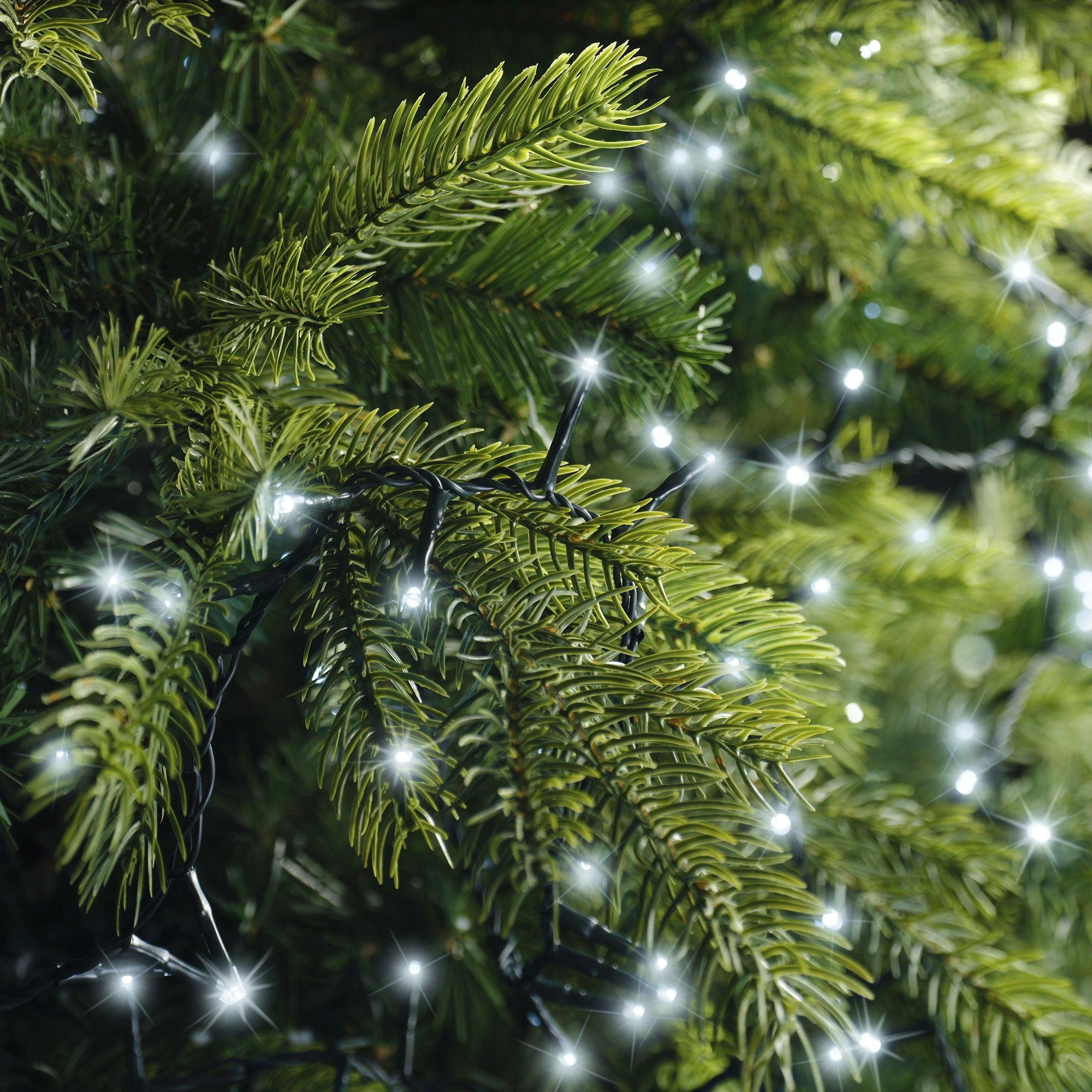 Lumineo LED compact twinkel 1600cm 750L - groen/koel wit - kerstverlichting