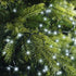 Lumineo LED compact twinkel 1600cm 750L - groen/koel wit - kerstverlichting