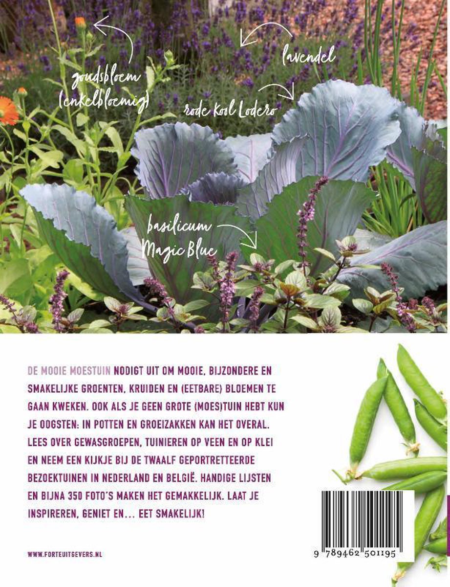 De mooie moestuin - Julia Voskuil TU TU
