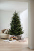 Kerstboom Arkansas dark green PE wooden LB base - h 183cm houten kruisvoet - takken hangen vast