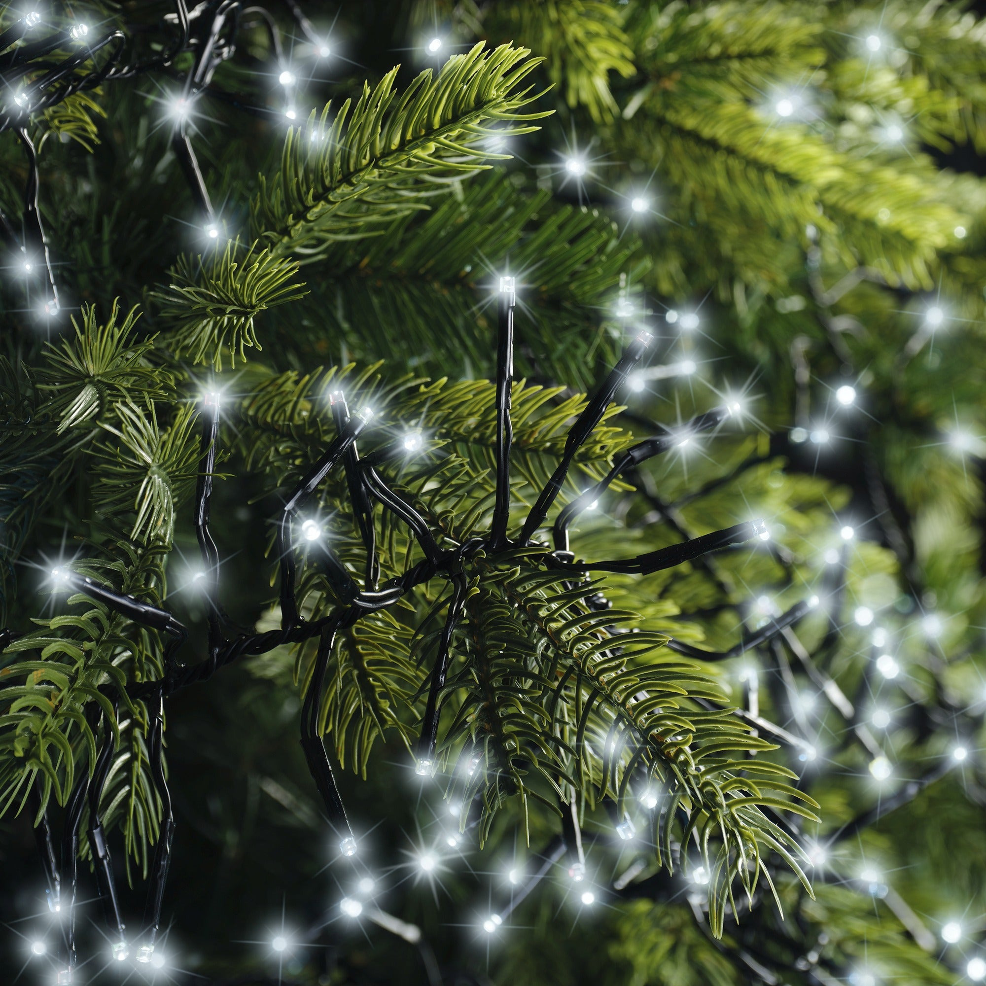 Lumineo LED cluster twinkel 1400cm 1512L - zwart/koel wit  - kerstverlichting