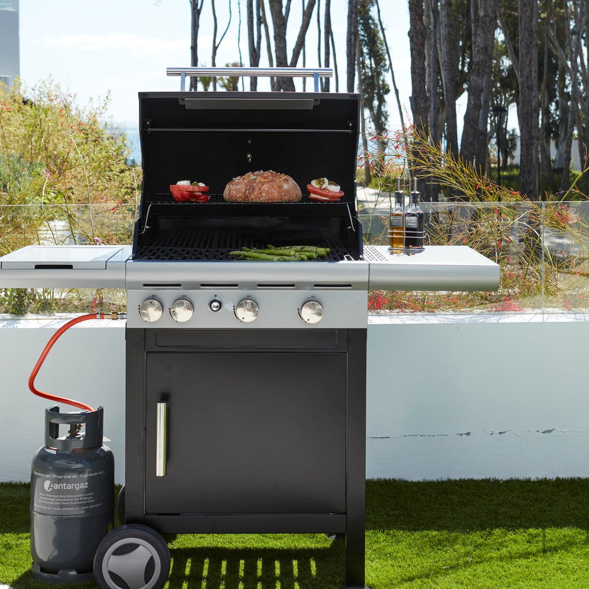 Barbecook SPRING 3212 gasbarbecue met 3 branders