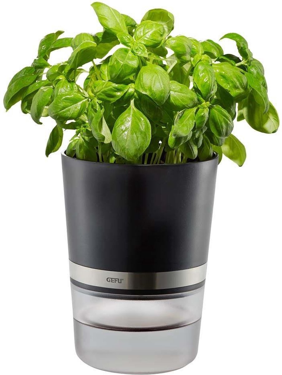 GEFU Botanico - Kruidenpot voor verse kruiden zwart kunststof 14.3x14.3x18.5cm