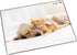 LAUFER Bureel onderlegger - 40x53cm - kat en hond
