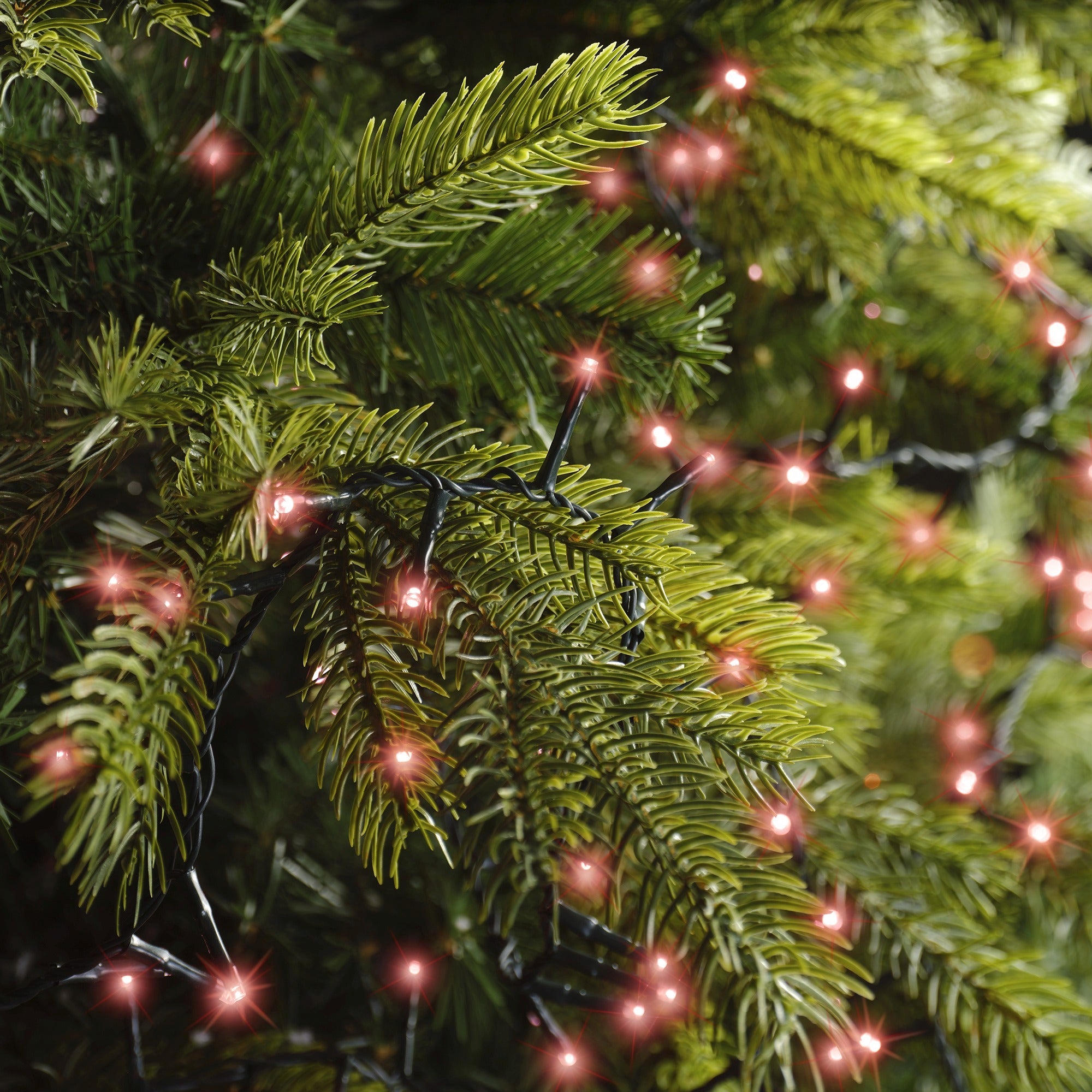 Lumineo LED compact twinkel 1600cm 750L - groen/rood - kerstverlichting