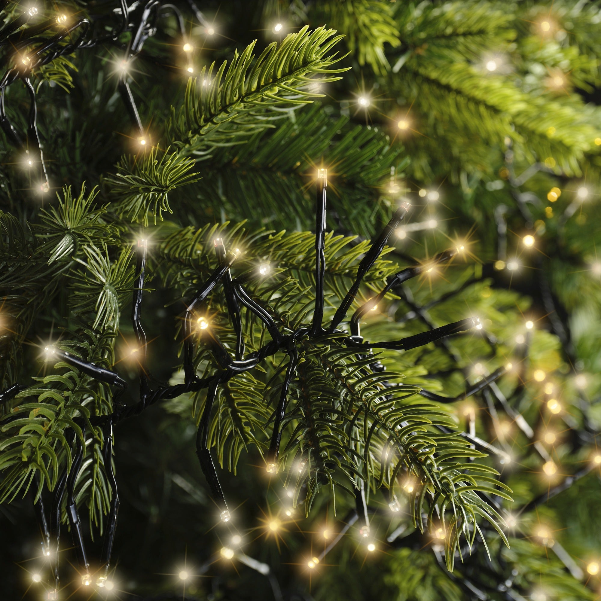 Lumineo LED cluster twinkel 1400cm 1512L - zwart/warm wit/klassiek warm  - kerstverlichting