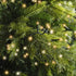 Lumineo LED compact twinkel 2250cm 1000L - groen/warm wit/klassiek warm - kerstverlichting gr