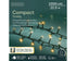 Lumineo LED compact twinkel 2250cm 1000L - groen/warm wit/klassiek warm - kerstverlichting gr