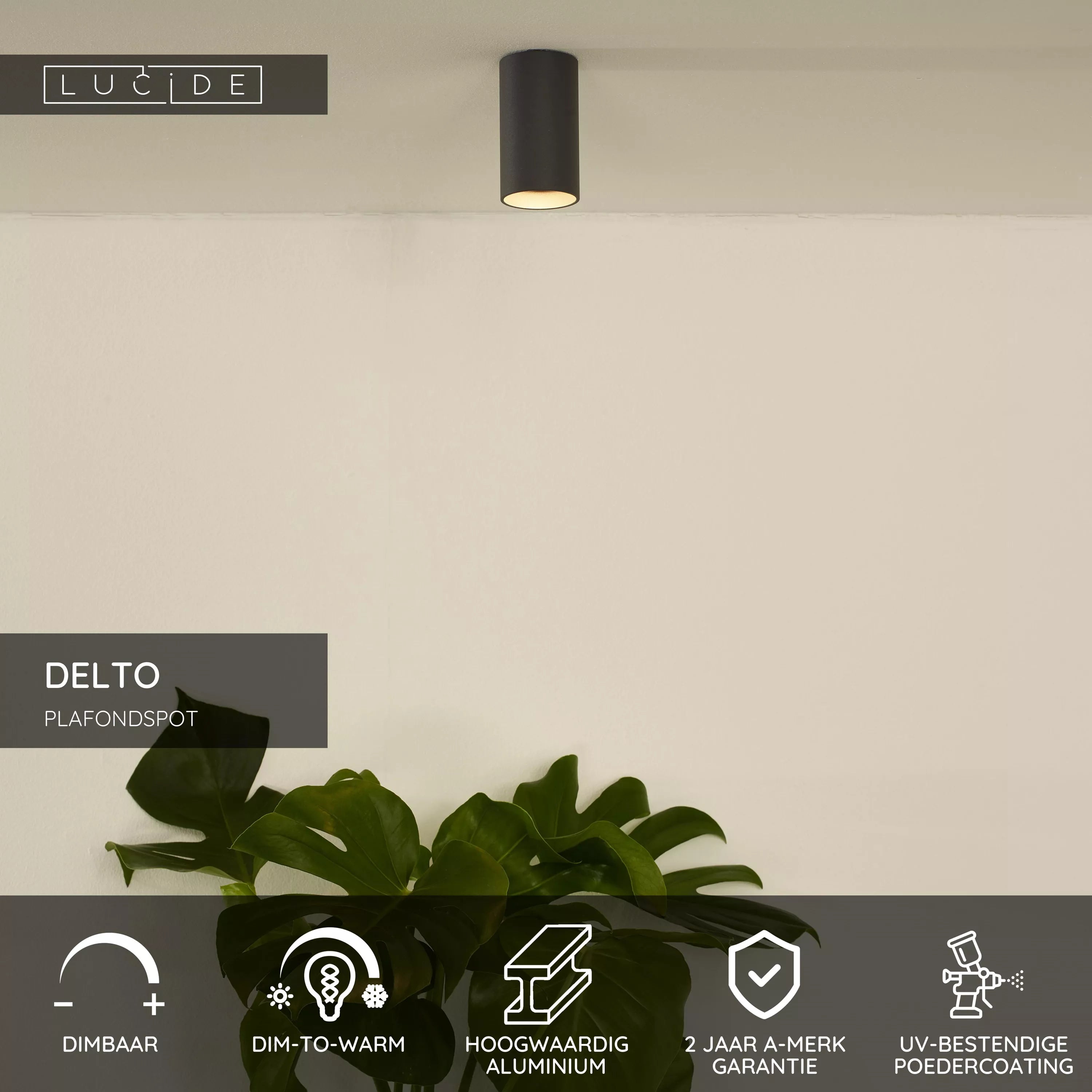 Lucide DELTO Plafondspot dia 5.5 - grijs
