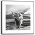 Slim frame zwart - 50x50cm - highland co