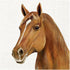 IHR Servetten - 33x33cm - farm horse 3921101760
