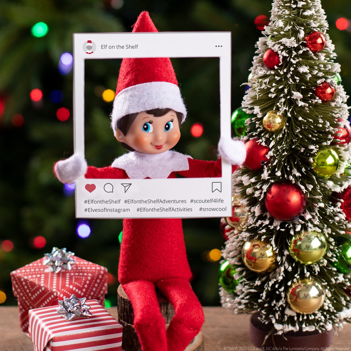 The Elf on the Shelf - cadeauset meisje Voorleesverhaal m/ adoptiecertificaat