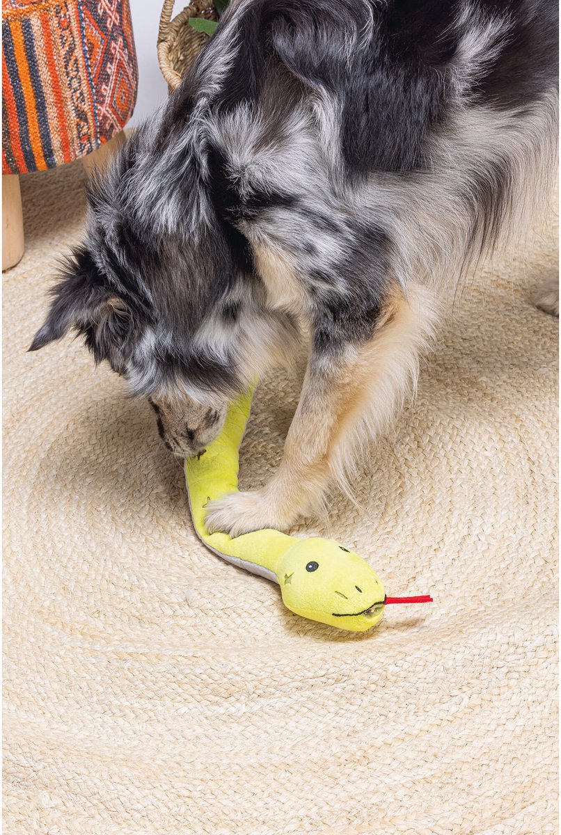 BEEZTEES Hide And Seek slang