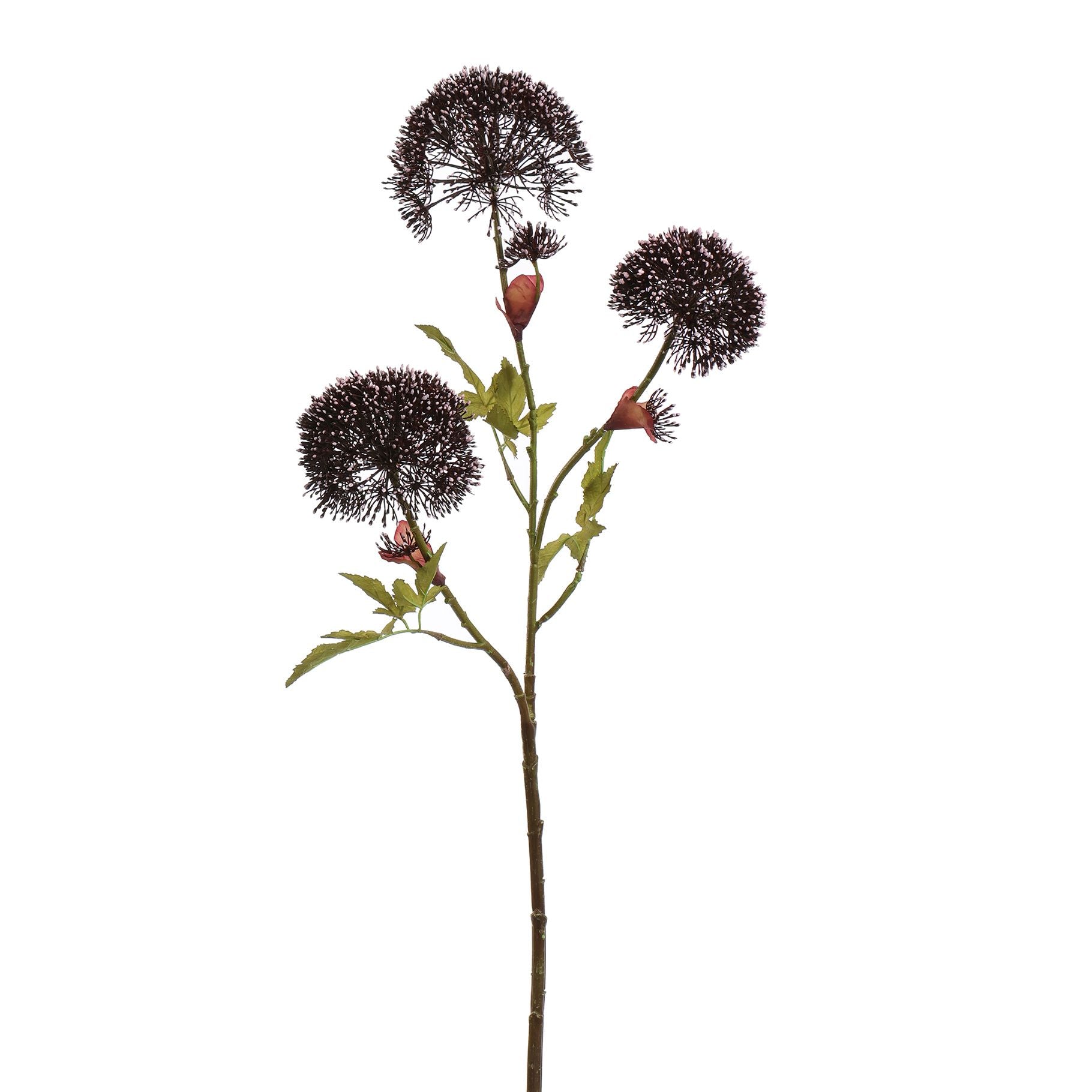 Berenklauw - 90cm - lavender