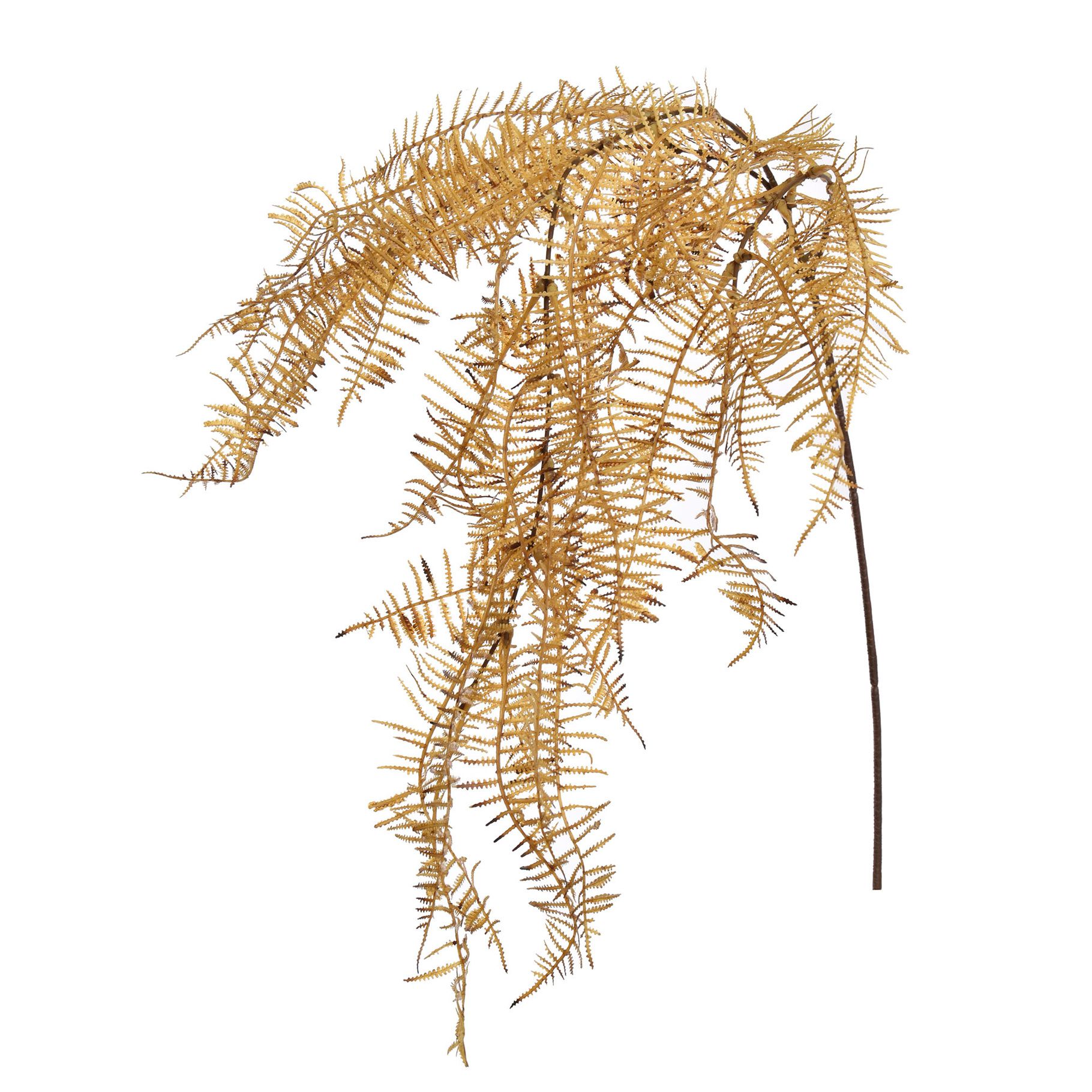 Hanging slim fern - 110cm - ocre