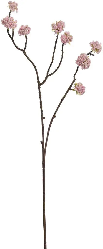 Calicarpa spray - 60cm - pink