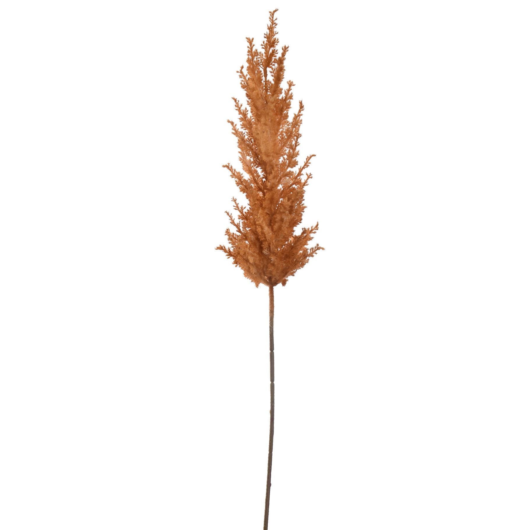 Pampas grass spray - 82cm - ocre