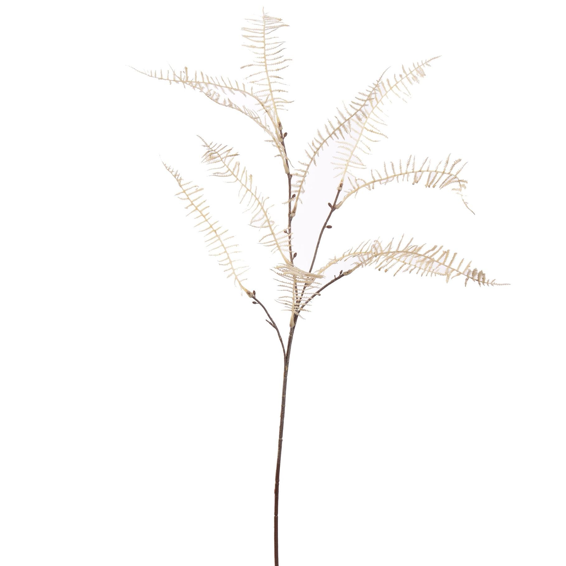 Slim fern branch - 75cm - white