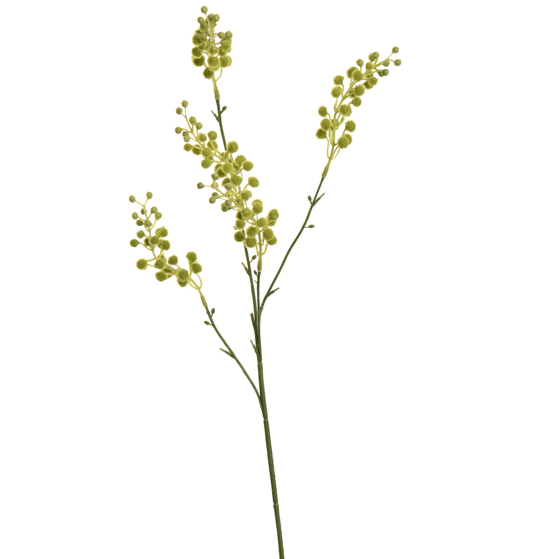 Mimosa spray - 67cm - green