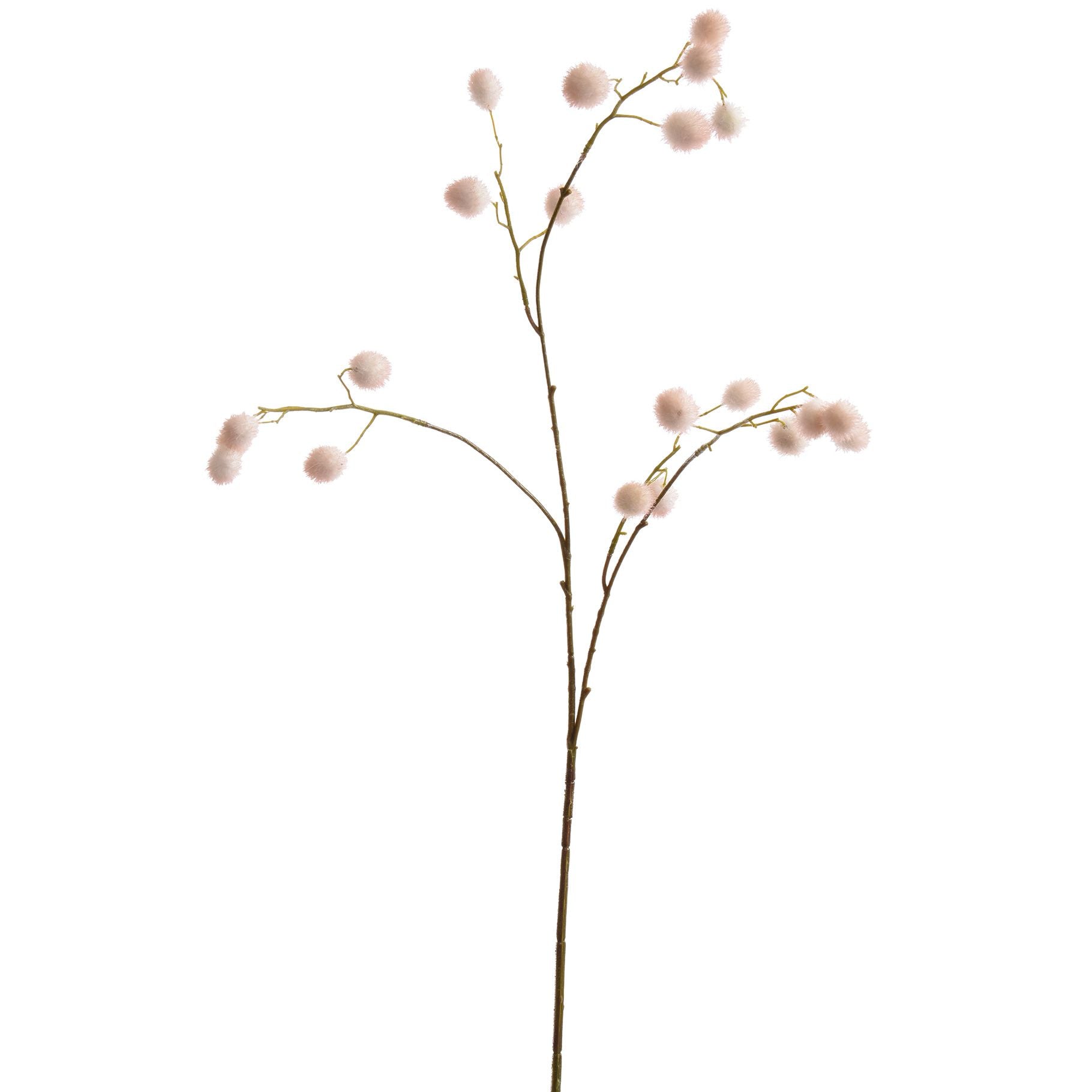 Waxberry spray X3 - vanille