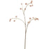 Waxberry spray X3 - vanille