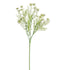 Anethum 60Cm - Cream