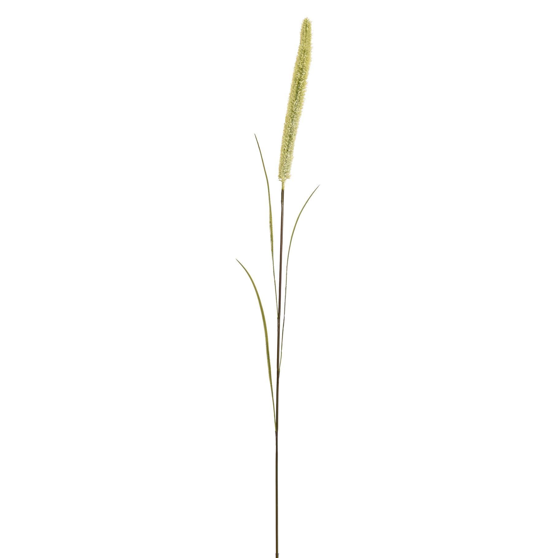 Foctail - 100cm - cream