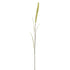 Foctail - 100cm - cream