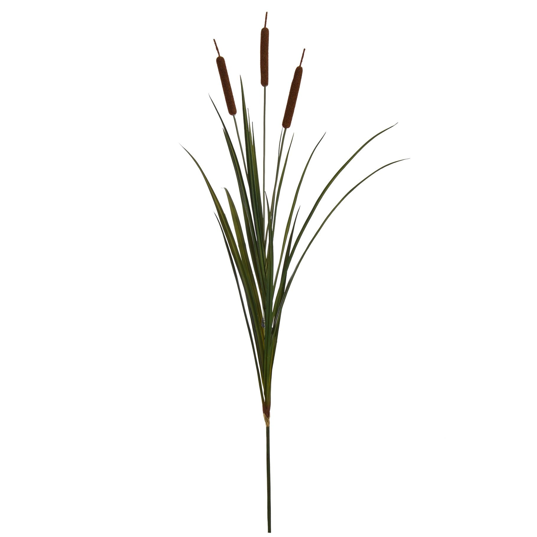 Cattail X3 - 125cm - brown