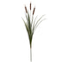 Cattail X3 - 125cm - brown