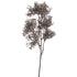 Coral spray - 55cm - brown