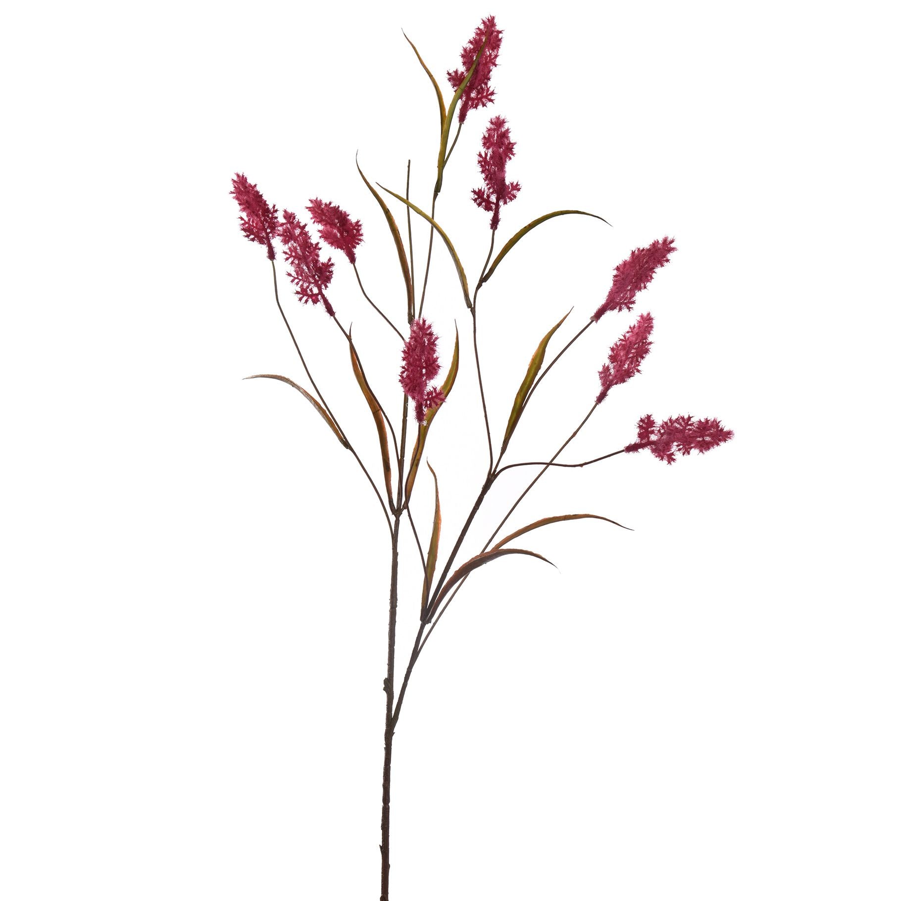Solidago spray - 85cm - beauty