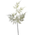 asparagus spray - 70cm - green