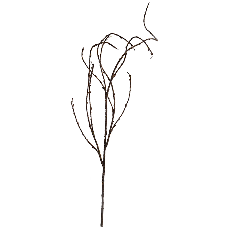 Large twig branch brown