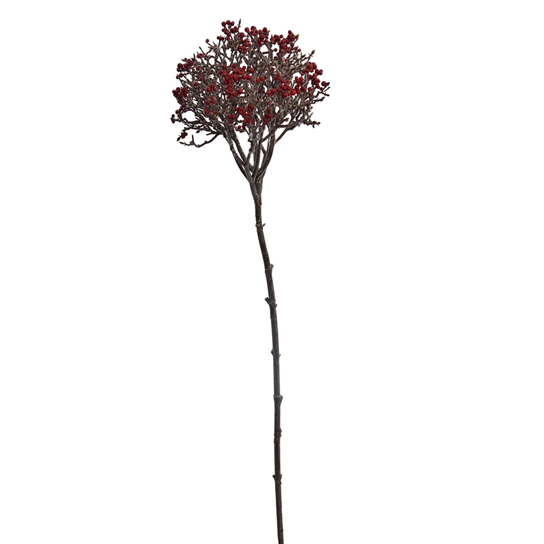 Twig bundle with berries - 68cm - red