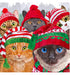 PPD Servetten - 33x33cm - Cat Usie