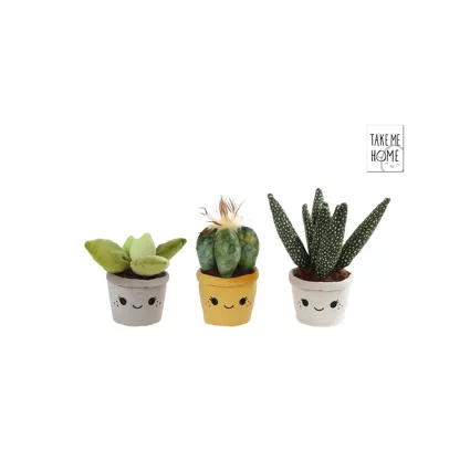 TAKE ME HOME plant S - 12-17cm - 3ass (prijs per stuk)