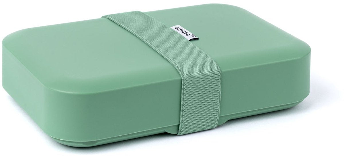 DBP Amuse lunchbox - large - sage