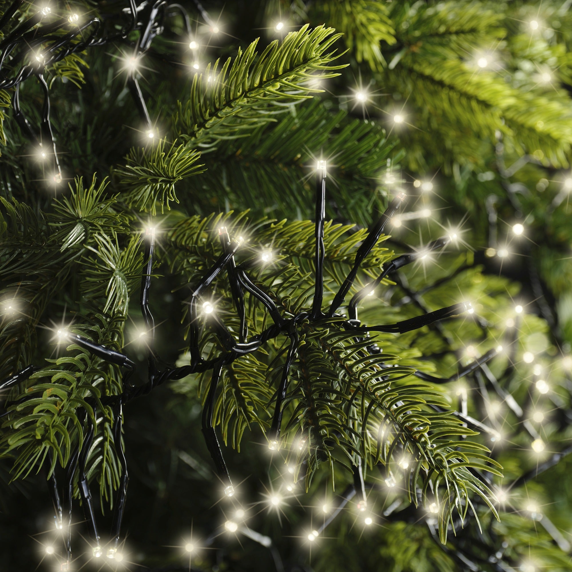 Lumineo LED cluster twinkel 2800cm 3000L - zwart/warm wit  - kerstverlichting