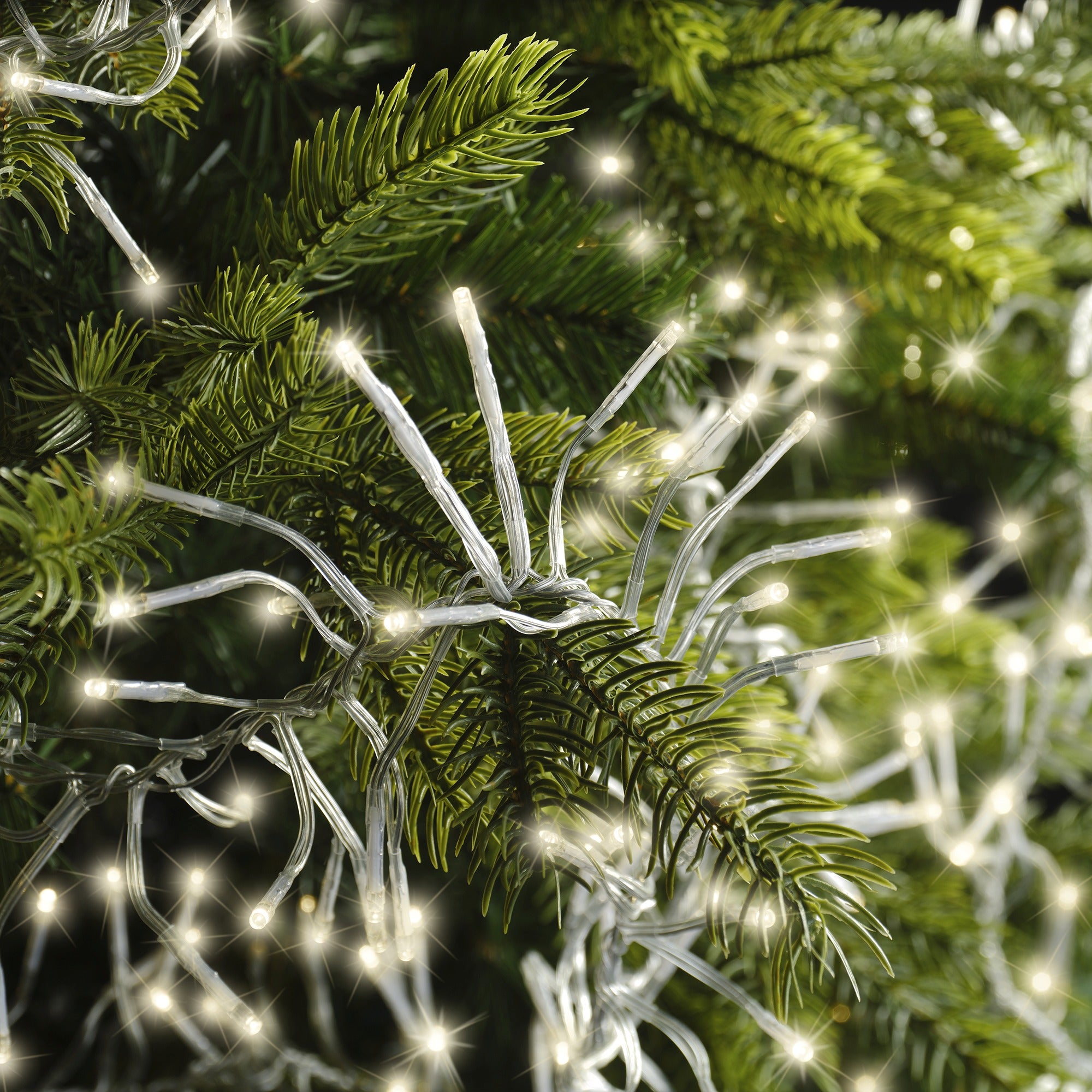 Lumineo LED cluster twinkel 1400cm 1512L - transparant/warm wit  - kerstverlichting